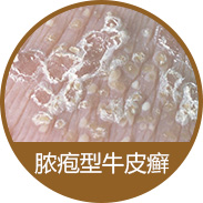 ŧ����ţƤѢ��ô����